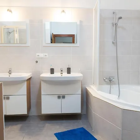 Old Town Apartment Brno